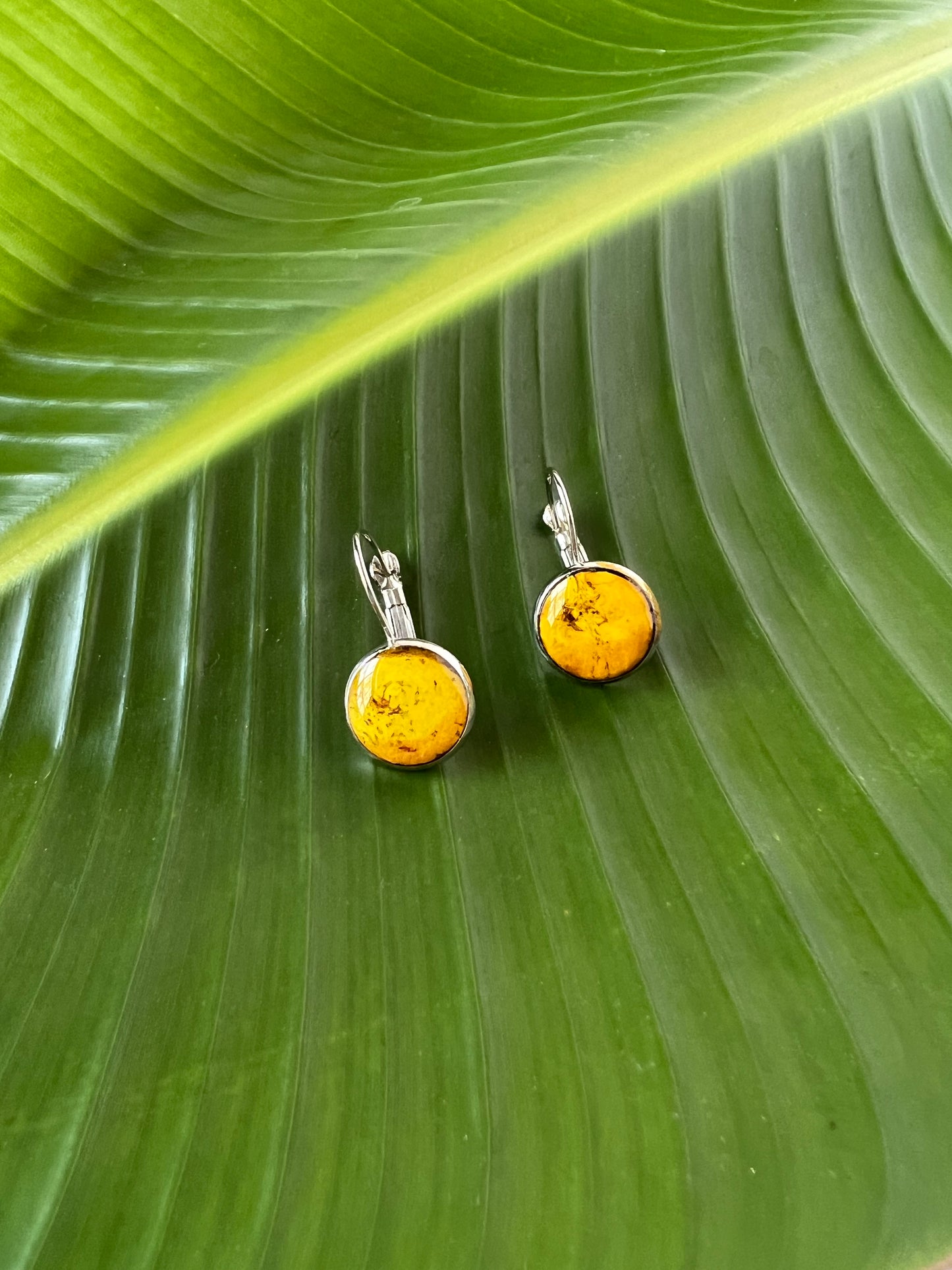 JARAGUA EARRINGS